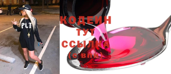 МДПВ Каменка