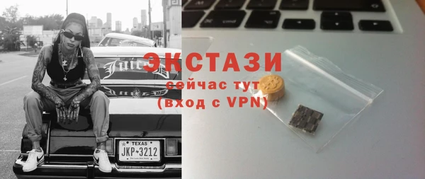 МДПВ Каменка