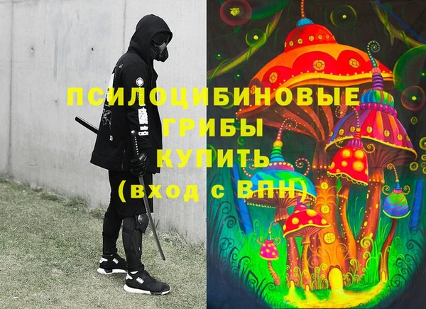 spice Зеленодольск
