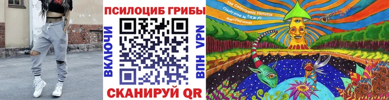как найти закладки  Кировск  Псилоцибиновые грибы GOLDEN TEACHER 