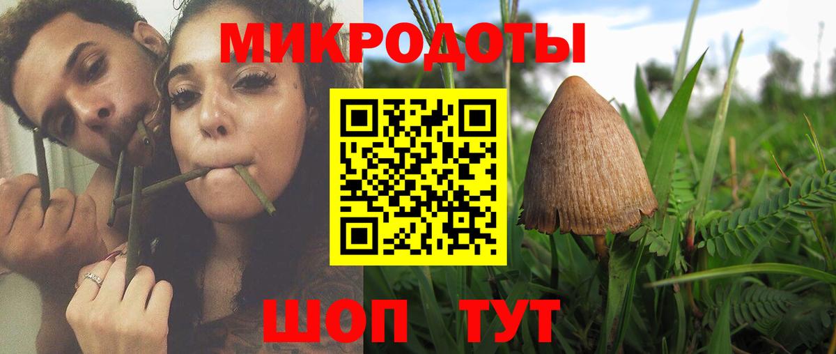 Галлюциногенные грибы мицелий  купить  сайты  Вход с VPN  Кировск  Галлюциногенные грибы Magic Shrooms 